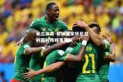 米兰体育-非洲国家杯尼日利亚对阵喀麦隆队