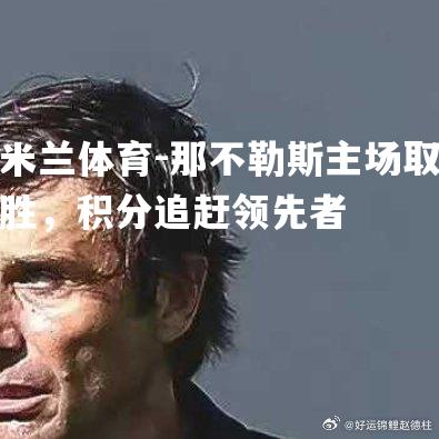 那不勒斯主场取胜，积分追赶领先者