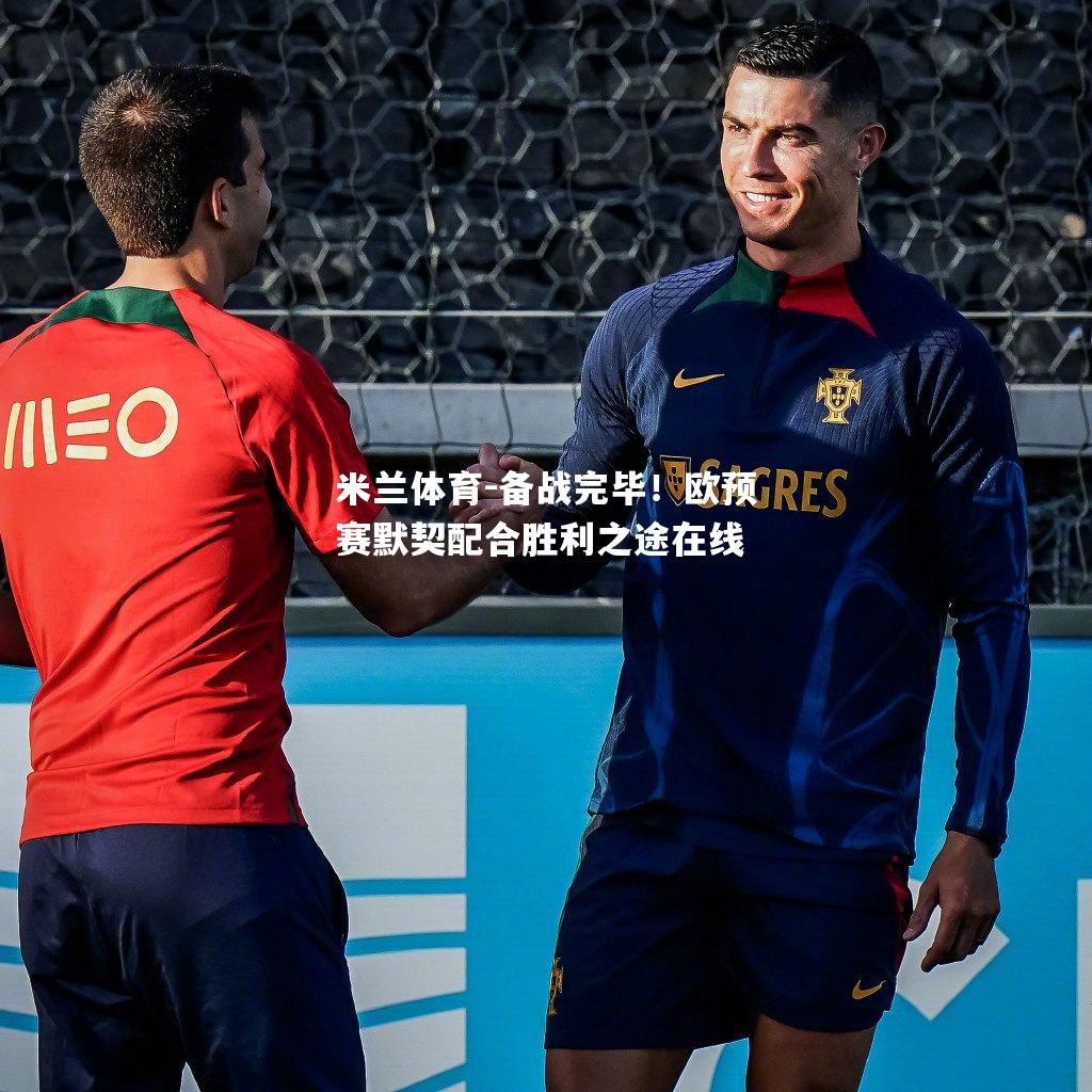 备战完毕！欧预赛默契配合胜利之途在线
